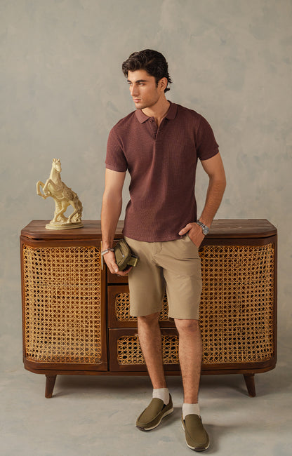 Dark Brown Textured Polo